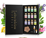 Подарунковий набір Натуральних Ефірних олій 12 шт Подарунок Аромадифузор зволожувач Essential Oils, фото 2