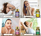 Подарунковий набір Натуральних Ефірних олій 12 шт Подарунок Аромадифузор зволожувач Essential Oils, фото 5