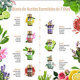 Подарунковий набір Натуральних Ефірних олій 12 шт Подарунок Аромадифузор зволожувач Essential Oils, фото 6