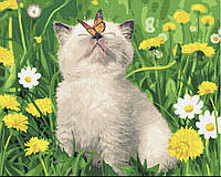 Картина по номерам - Кот с бабочкой (30х40 см)