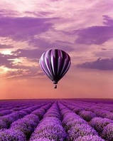 Картина по номерам - Воздушный шар над лавандовым полем 40х50 см