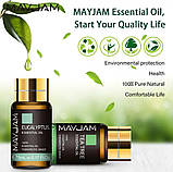 Ефірна Олія 20 шт Великий Подарунковий набір Натуральних Масел Essential Oils Premiu Оригінал, фото 10