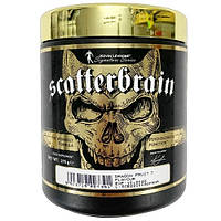 Предтренировочный комплекс Kevin Levrone Scatterbrain (270 грамм.)