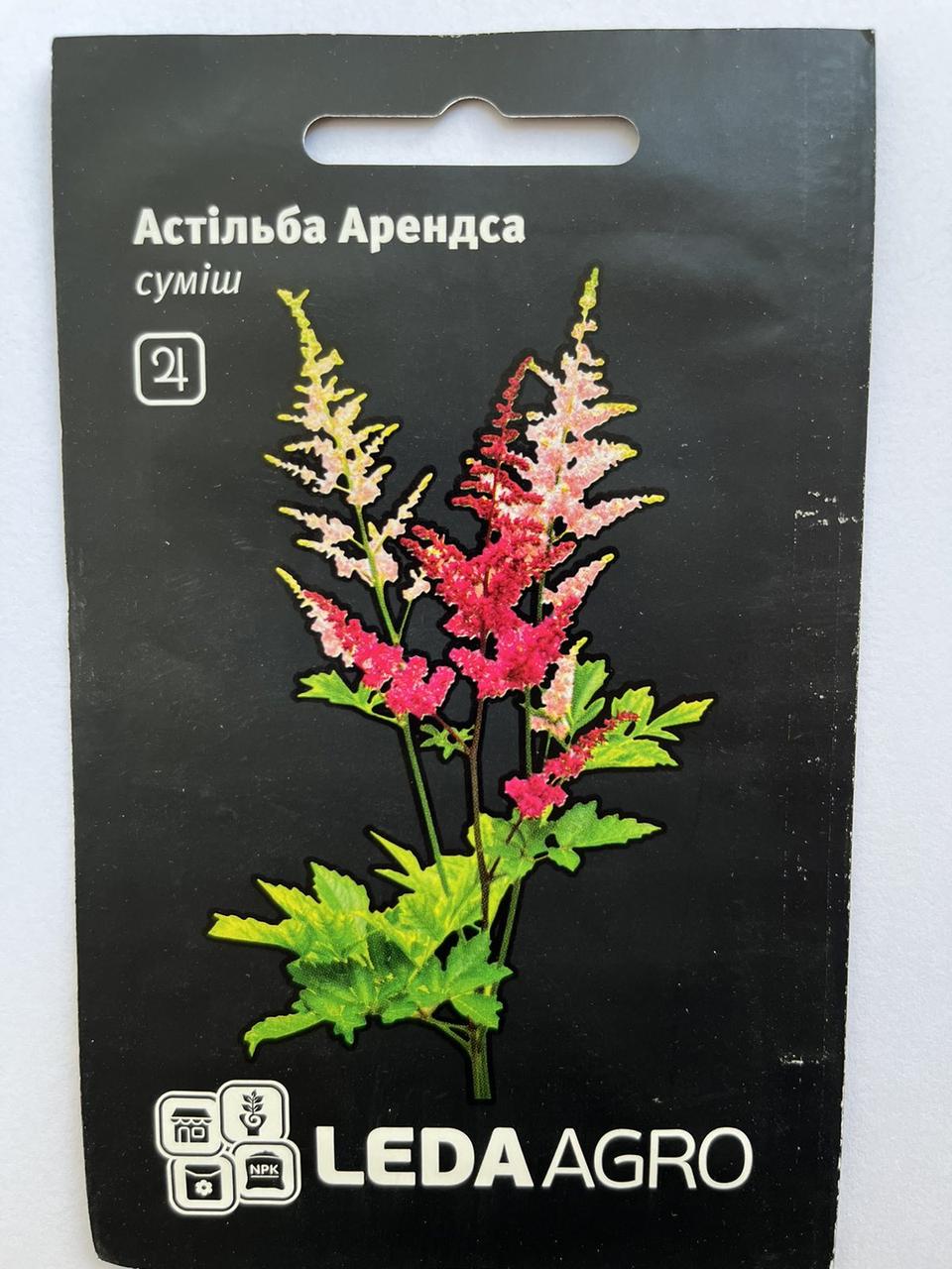 Леда Квіти Астільба Арендса суміш 0,01