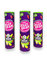 The Jelly Bean Factory жевательные конфеты (желейные бобы) КИСЛЫЕ 90 г