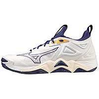 Кроссовки Волейбольные Мужские Mizuno Wave Momentum 3 (V1GA2312-43)