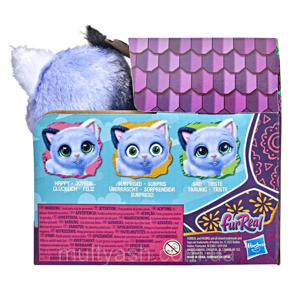 Hasbro cat toy hotsell