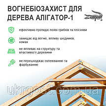 Вогнебіозахист для дерева Алігатор-1 Premium Концентрат 1:10 Зелений 1 кг, фото 3