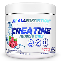 Креатин моногідрат AllNutrition Creatine Muscle Max 250g