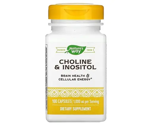Холін та Інозитол Nature's Way Choline & Inositol 500 mg 100 Caps, фото 1