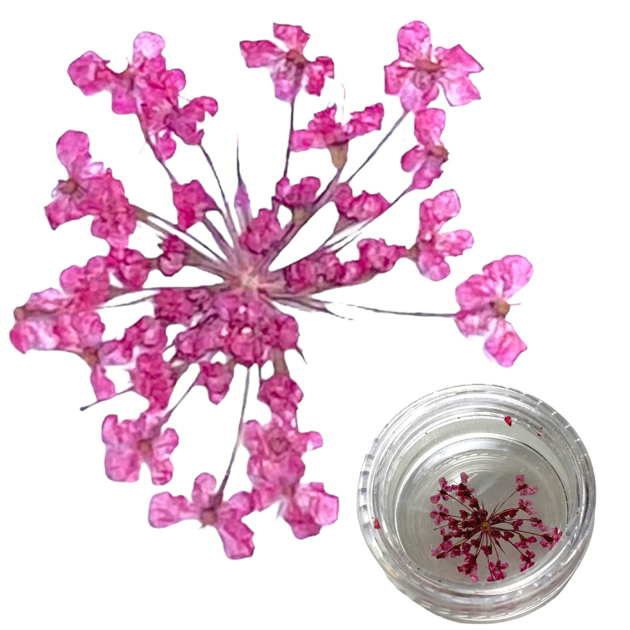 Декор для нігтів сухоцвіти рожеві