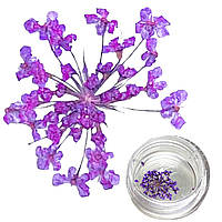 Декор для ногтей сухоцветы фиолетовые