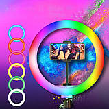 Кільцева світлодіодна лампа RGB MJ-26 на штативі, 26см, (1 тримач), фото 8