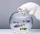 Електронна інтерактивна іграшка рибка-робот Robofish для тварин, фото 2