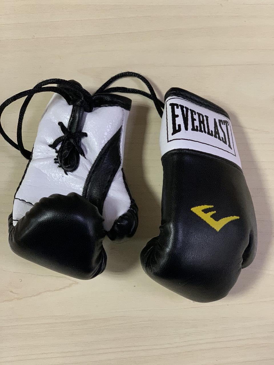 Брелок рукавички боксерський сувенір LevSport Everlast