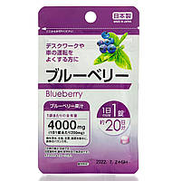 Экстракт черники для улучшения зрения DAISO Blueberry