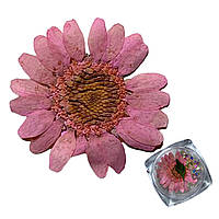 Сухоцветы нежно-розовые украшения для ногтей + камни