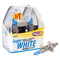 Лампы PULSO галогенные H1 P14.5S 12v 55w super white plastic box 2