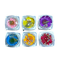 Набор сухоцветов 6шт для дизайна ногтей + камни