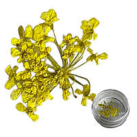Декор для ногтей Сухоцветы желтые