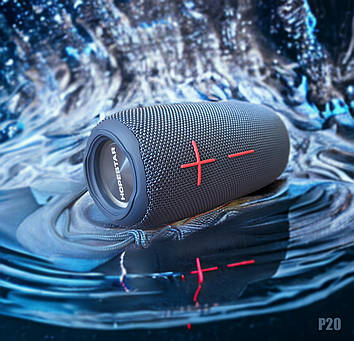 КОЛОНКА HOPESTAR P20