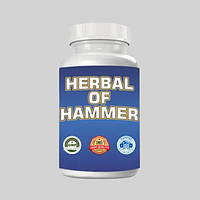 Herbal of hammer (Хербал оф хаммер) капсулы для потенции