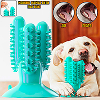 Зубная щётка игрушка для собак Dog Toothbrush-Cactus резиновая на присоске для чистки зубов Blue ICN