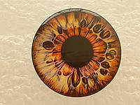 Глаза для Блайз (Blythe), стекло. №s-22ч Клеевые. Диаметр 14 мм