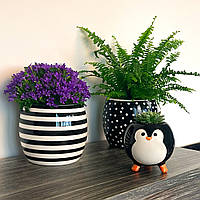 Горшок-кашпо для цветов,универсальна форма,для посадки и выращивания комнатных растений.(черный с белым)