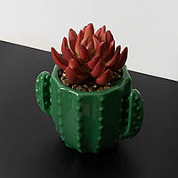 Искусственное растение в горшке кактус 8.5 см.Качественый материал керамика.