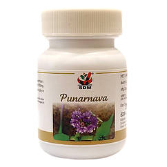 Пунарна (Punarnava Capsules, SDM) 40 капсул