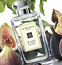Парфумована вода Wild Fig & Cassis Cologne Jo Malone London (Без картонного упакування 100 ml), фото 3