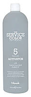 THE SERVICE COLOR Окислитель с органическим маслом баобаба для окрашивания волос 5 VOL 1,5% 1000 мл