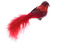 Декоративний птах на кліпсі 16см, колір - червоний 499-131 - 12 шт УПАКОВКА ТОВАР ВІД ВИРОБНИКА