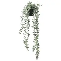 IKEA FEJKA (704.668.11), искусственное комнатное растение, внутрь / наружу висит / эвкалипт