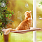 Лежанка на вікно для кота Sunny Window Seat Cat Bed / Віконна лежанка для котів / Підвісний гамак для кота, фото 9