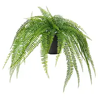 IKEA FEJKA(105.486.31), искусственное растение в горшке, Крытый/наружный висит/папоротник