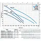 Насос поверхневий самовсмоктувальний PEDROLLO PLURIJETm 3/100X, фото 2