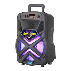 Акустична стереосистема (колонка) NDR P77 10W Bluetooth + караоке мікрофон