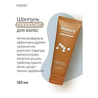 Шампунь для волосся "Прополіс" - Pedison Institut-Beaute Propolis Protein Shampoo, 100 мл