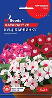 Катарантус Кущ Барвінку невибагливий однорічний, упаковка 0,2г