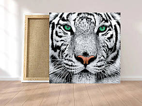 Картини за номерами 40*40 "Білий тигр" №023, Strateg