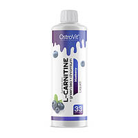 Карнитин OstroVit L-Carnitine Liquid + Green Tea + Chromium (500 ml, голубика)