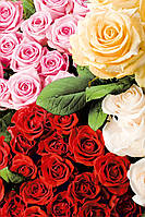 Пакет для подарунка гігант вертикальний "Троянди" 30х47 см