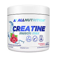 AllNutrition Creatine Muscle Max 250 g Яблуко