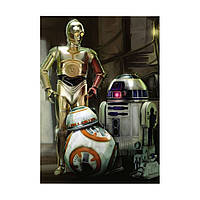 Постер на ПВХ "3 Droids" UkrPoster 2200570084 без рамки 50х70 см, World-of-Toys