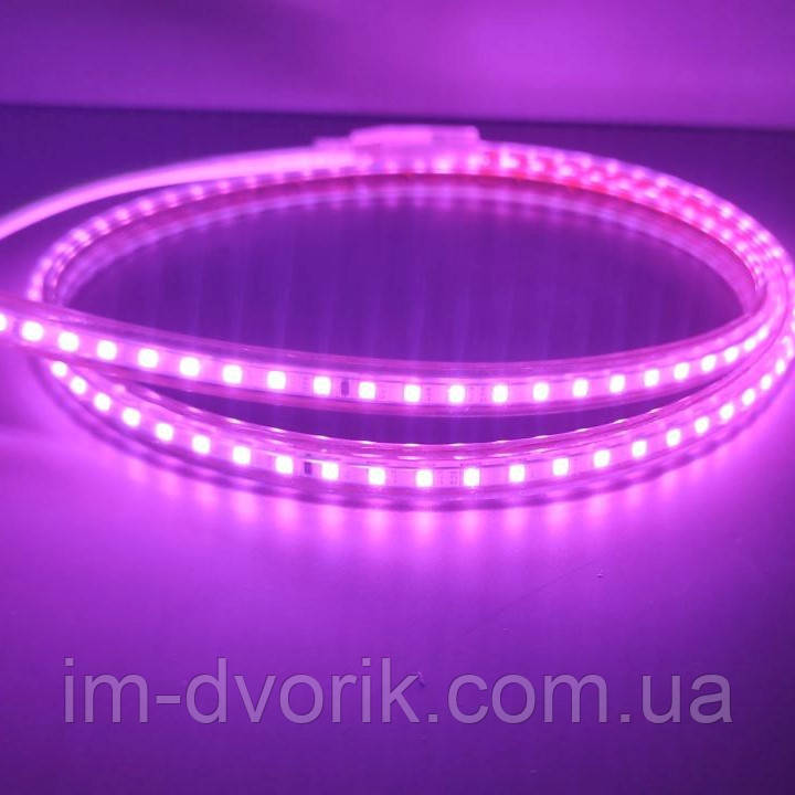 Світлодіодна стрічка 2835smd 220V IP67 Рожева 120 led герметична вулична