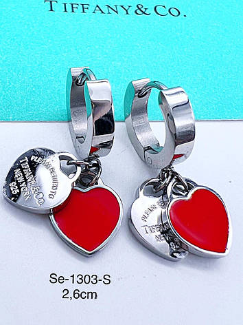 Сережки Stainlees Steel, фото 1