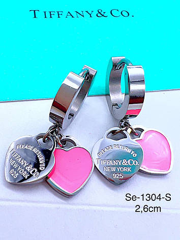Сережки Stainlees Steel, фото 1