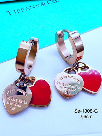 Сережки Stainlees Steel, фото 1